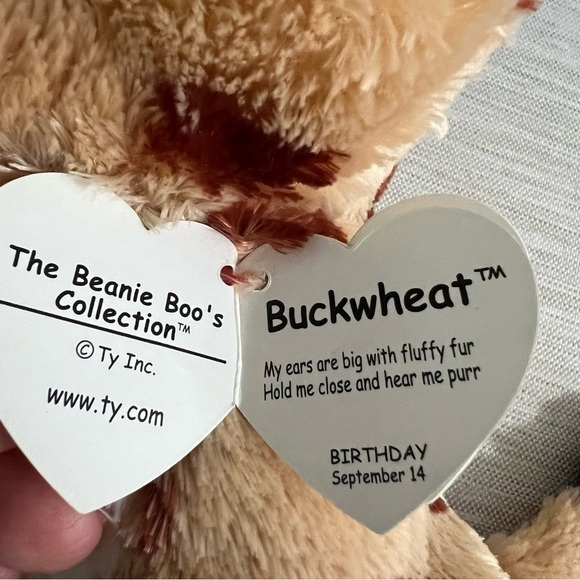 The Beanie Boo's Collection Plush 9" Buckwheat NWT 2015 - Picture 3 of 4
